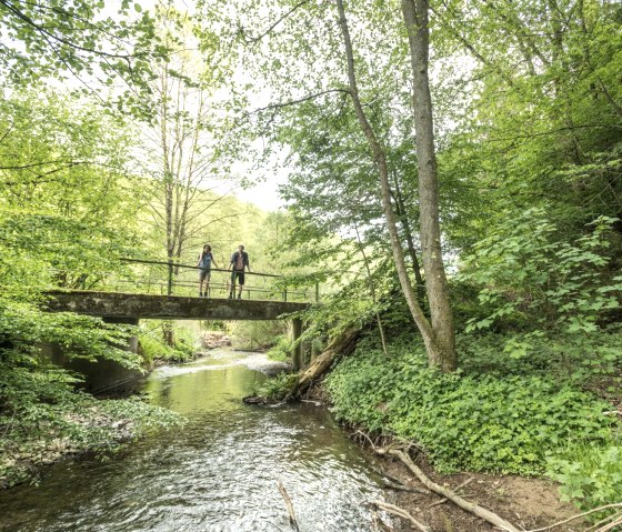 Salmtal, Eifelsteig stage 14, &copy; Eifel Tourismus GmbH, D. Ketz