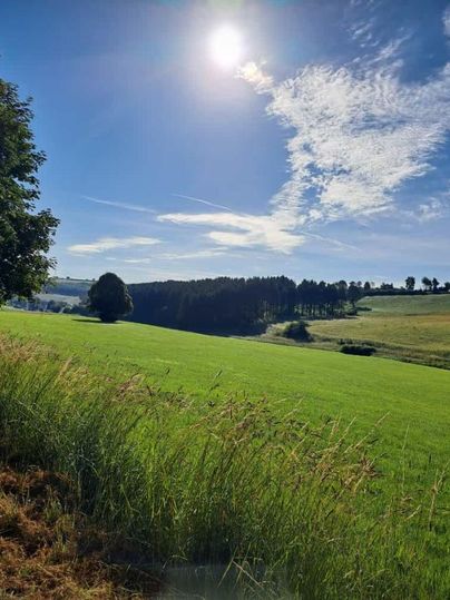 A wide meadow landscape under a clear blue sky. The sun is shining bright and there are a few clouds visible.