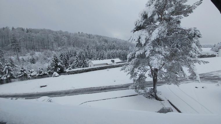 Een besneeuwd landschap met een grote boom op de voorgrond en met sneeuw bedekte velden op de achtergrond. De lucht is grijs en bewolkt.