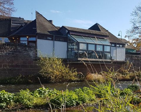 A café by the river with large windows and a beautiful environment. Green plants grow along the shore and the sky is clear and blue.