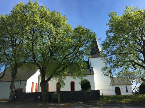 A white church with a pointed tower, surrounded by large, green trees. The sky is blue and sunny.