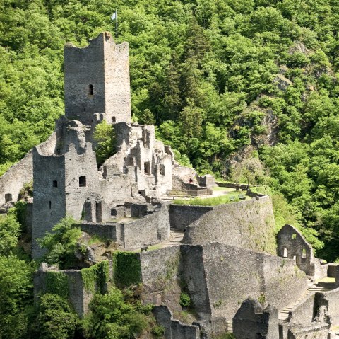 Hiking trail Manderscheider Burgenstieg: Niederburg Castle, © Rheinland-Pfalz Tourismus GmbH - D. Ketz