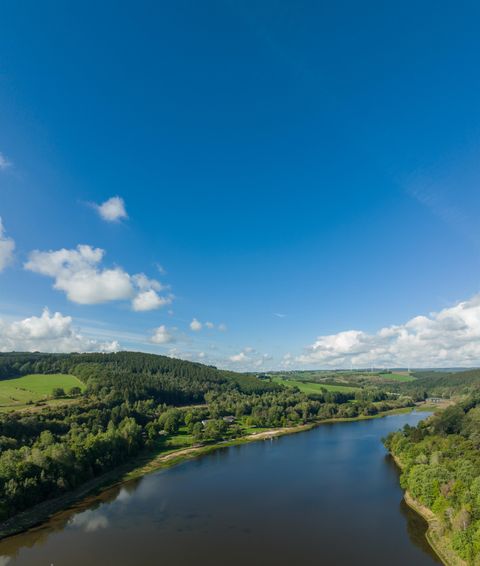 Man blickt von oben auf den Kronenburger See. Links und rechts der Wasserfläche sind sanft ansteigende Hügel die mit Laub und /oder Fichtenwälder überzogen sind. Zwischendurch liegen vereinzelt grüne Wiesen.