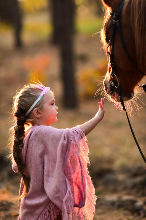Een klein meisje aaidt zachtjes een paard in de natuur. De scène toont een warme, uitnodigende sfeer met gouden licht op de achtergrond.