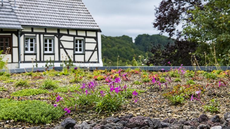 Ein traditionelles Haus mit einem gepflanzten Dach, das mit bunten Blumen geschmückt ist. Im Hintergrund sind grüne Hügel und bewölkter Himmel zu sehen.