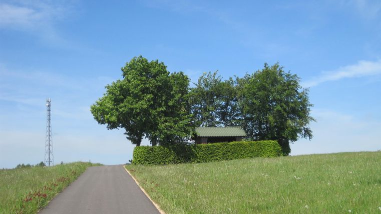 A paved path leads through a green meadow to a group of trees with a small building. On the left, there is a transmission tower. The sky is blue.