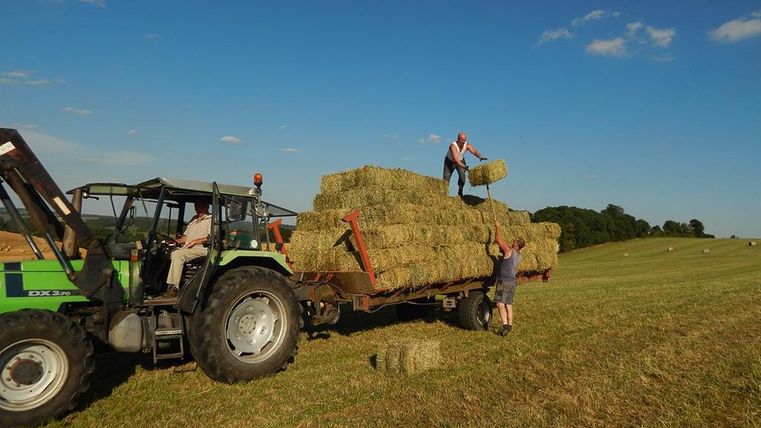 Ein Traktor lädt Heuballen auf einen Anhänger. Zwei Personen arbeiten zusammen, um die Ballen zu stapeln.