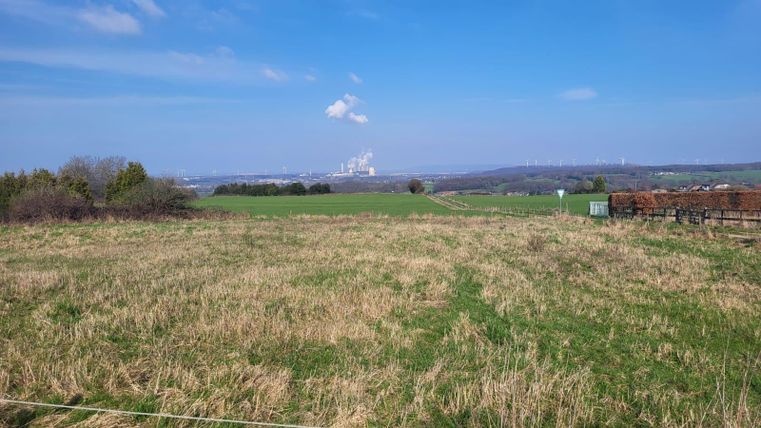 A wide field with tall grass and scattered trees. In the background, you can see industrial facilities and a blue sky.