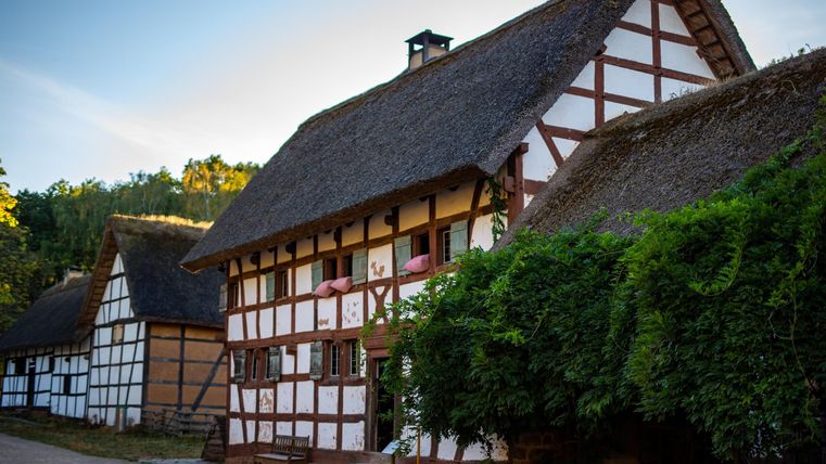 A traditional half-timbered house with a thatched roof. The facade is white with brown beams and is surrounded by green plants.