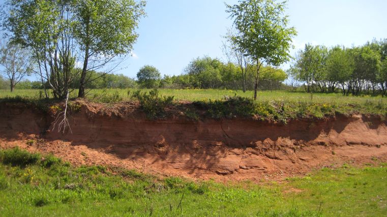 Erosionskante im Vulkangarten Steffeln, umgeben von grüner Wiese und Bäumen unter klarem Himmel.