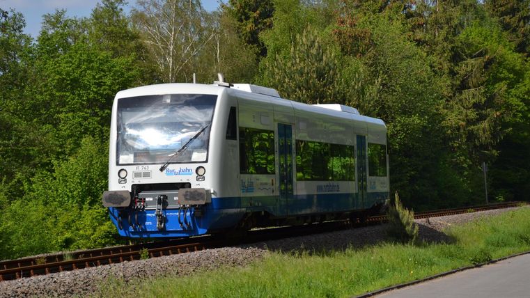 A train travels along a green track with trees in the background. The rails are surrounded by fresh grass and plants.