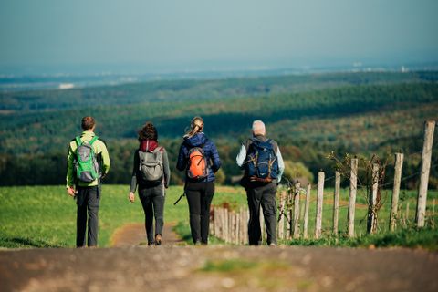 Een groep wandelaars loopt een pad langs en geniet van het uitzicht op het heuvelachtige landschap. De deelnemers dragen rugzakken en passende outdoor-kleding.
