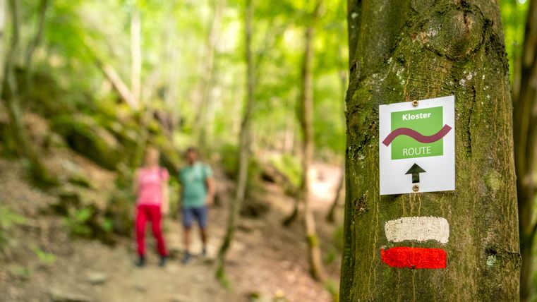 A tree with a monastery route sign in the forest, two blurred people in the background.