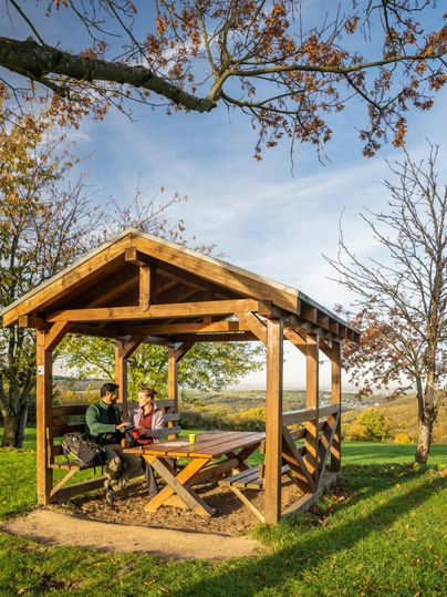 A cozy wooden pavilion in nature, surrounded by trees and a meadow. Two people are sitting at a table and enjoying the view.