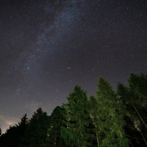 Sterne im Sternenpark Nationalpark Eifel, © J.C. Munoz - artenatural