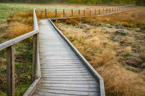 Een houten pad loopt door een groene, natuurlijke landschap. Op de achtergrond zijn droog gras en een rustige lucht te zien.