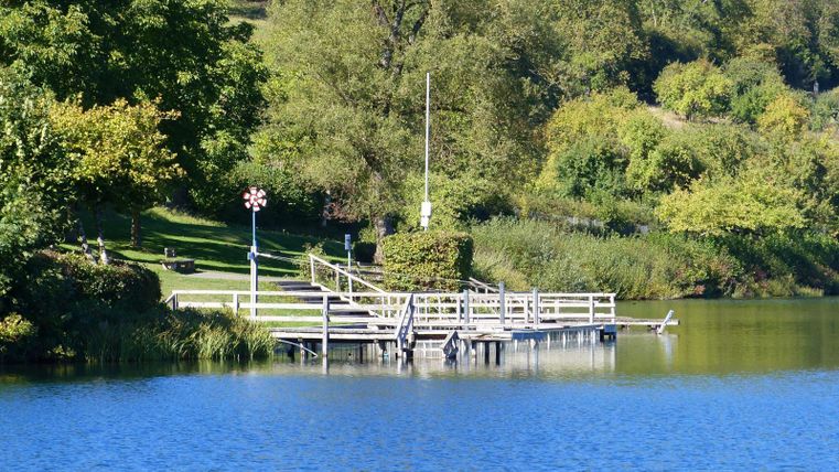A calm lake with a wooden pier and green shore. The surroundings are characterized by trees and bushes.
