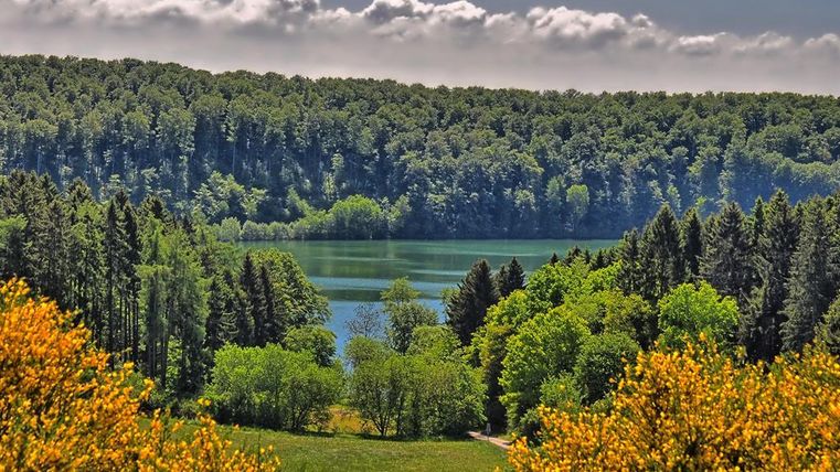 Eine malerische Landschaft mit einem ruhigen See und üppigem, grünem Wald. Die Sonne scheint auf die Bäume und die Blüten in den Vordergrund.