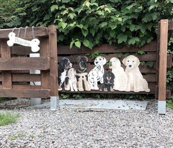 Campingplatz-Hundedusche, &copy; Campingplatz "Zum Jone Bur"