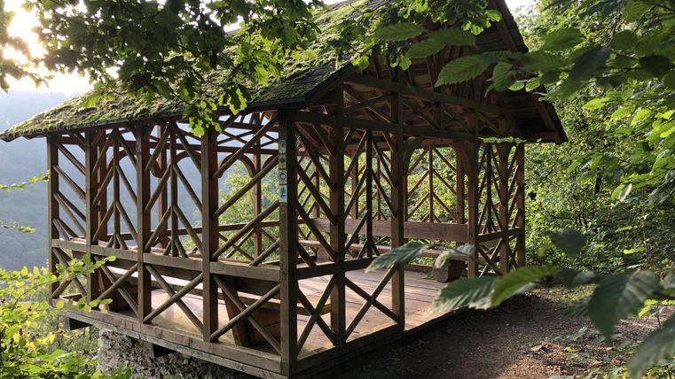 Een houten tuinhuis omringd door groene bomen. De ruimte is open en biedt uitzicht op het omliggende landschap.