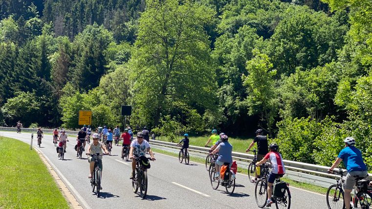 Eine Gruppe von Radfahrern fährt auf einer Straße inmitten üppiger grüner Wälder. Es ist ein sonniger Tag und die Natur um sie herum ist lebendig.