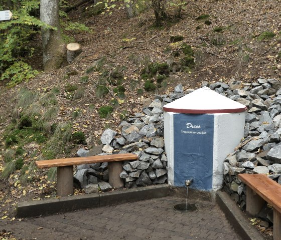 Drees in der Vulkaneifel, &copy; GesundLand Vulkaneifel GmbH