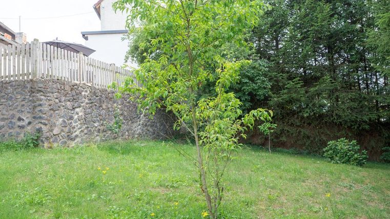 Ein kleiner Garten mit grünem Gras und einem jungen Baum. Im Hintergrund ist eine Steinmauer und ein Zaun zu sehen.