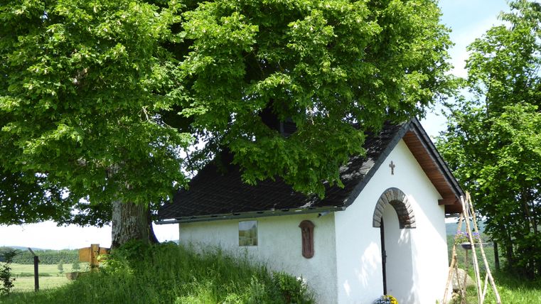 Eine kleine, weiße Kapelle steht unter einem großen Baum. Die Umgebung ist grün und ländlich, mit einem klaren Himmel im Hintergrund.