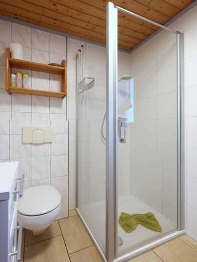 A modern bathroom with a shower cabin and a toilet. The floor is tiled and there is a wooden ceiling.