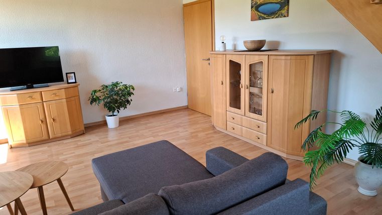 A bright living room with a gray sofa and a wooden table. A TV and a sideboard with plants are against the wall.