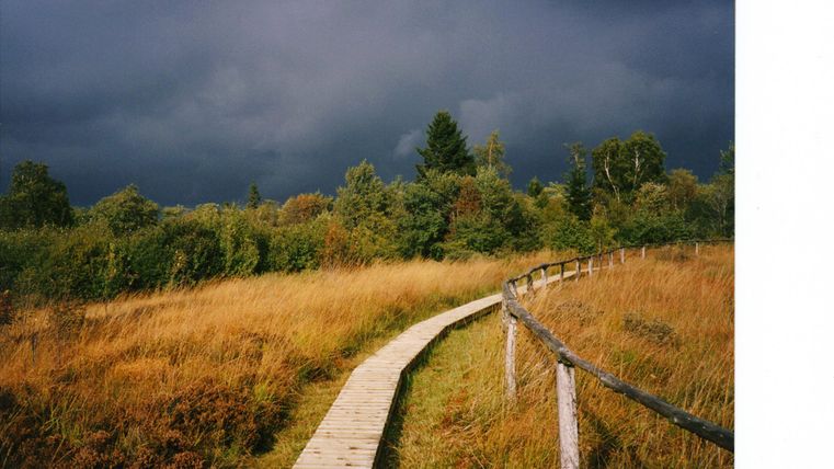 Ein Holzsteg führt durch eine weite, grasbewachsene Landschaft. Der Himmel ist dunkel und wolkig, was eine dramatische Stimmung erzeugt.