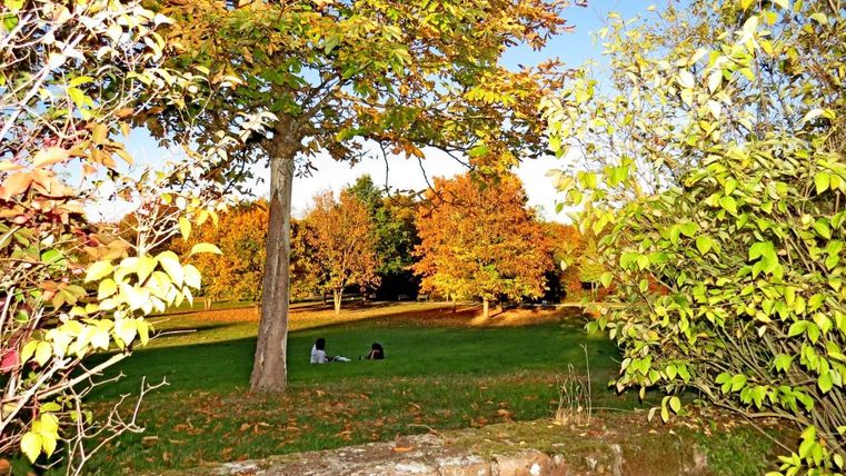 Een mooie park in de herfst met kleurrijke loofbomen en een blauwe lucht. Op de achtergrond zitten twee personen op het gras.