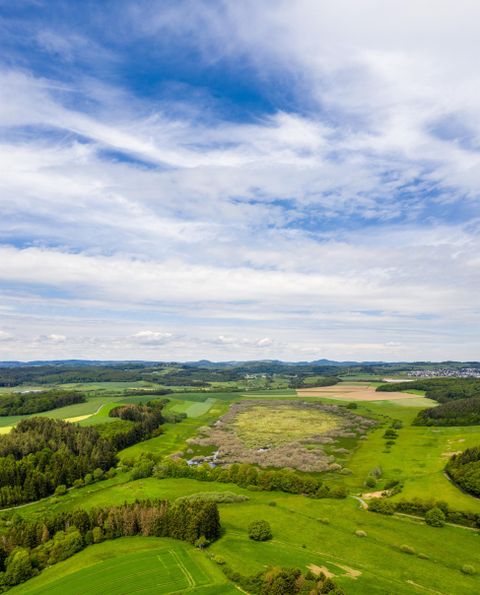 Eine weitläufige grüne Landschaft mit sanften Hügeln und vereinzelten Wäldern. Der Himmel ist klar mit einigen Wolken.