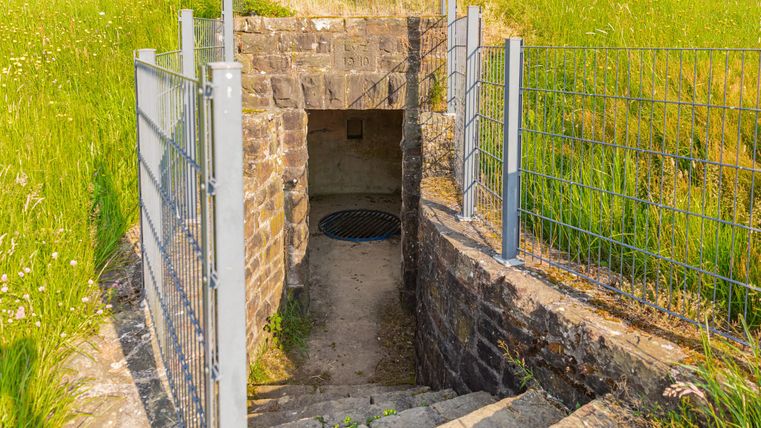 Ein unterirdischer Zugang mit Stufen und einem Gittertor. Umgeben von grünem Gras und Natur.