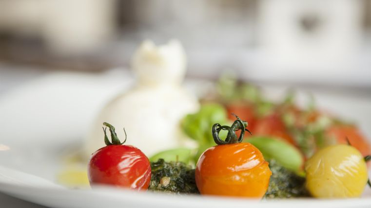 Een bord met verse, kleurrijke cherrytomaten en romige mozzarella. Het gerecht is aantrekkelijk gepresenteerd en ziet er smakelijk uit.