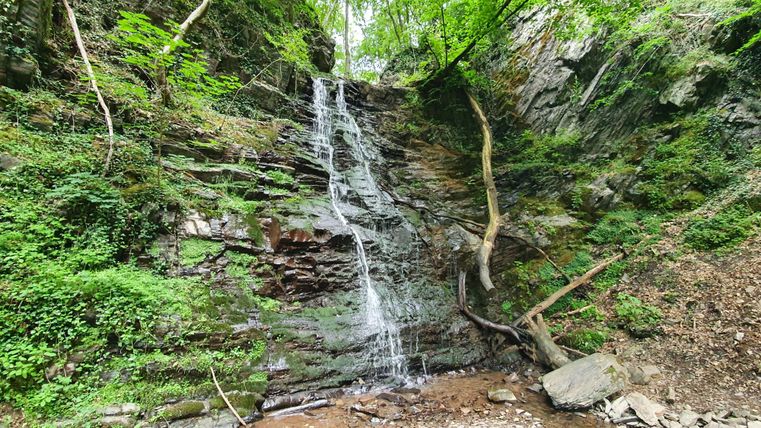 Ein kleiner Wasserfall fließt über moosbedeckte Felsen in einem grünen Wald. Umgeben von Bäumen und reichhaltiger Vegetation strahlt die Szene Ruhe aus.
