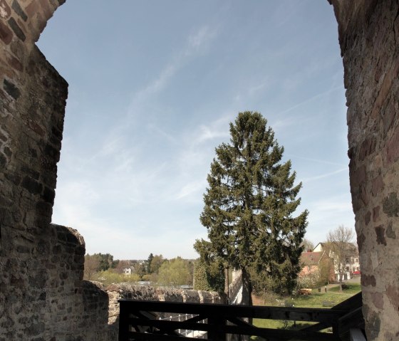 Hillesheim, &copy; Thomas Regnery