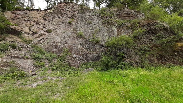 Eine steinerne Felswand umgeben von grünem Gras und Bäumen. Die natürliche Landschaft zeigt vegetative Elemente und eine raue Textur des Gesteins.