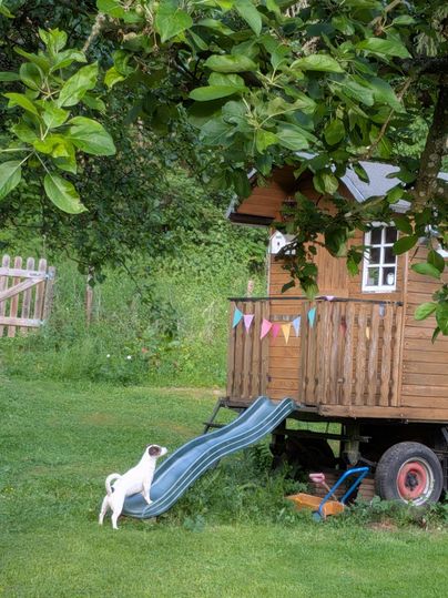 A small dog stands in front of a wooden lounge chair and looks up. In the background, there is a cozy wooden house with colorful bunting and a green garden.