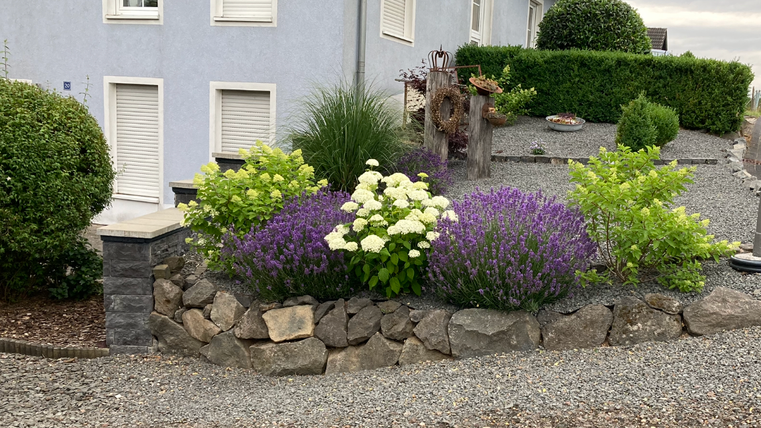 A beautiful garden with colorful flowers and shrubs. The area is designed with gravel and stones, framed by a light blue house.