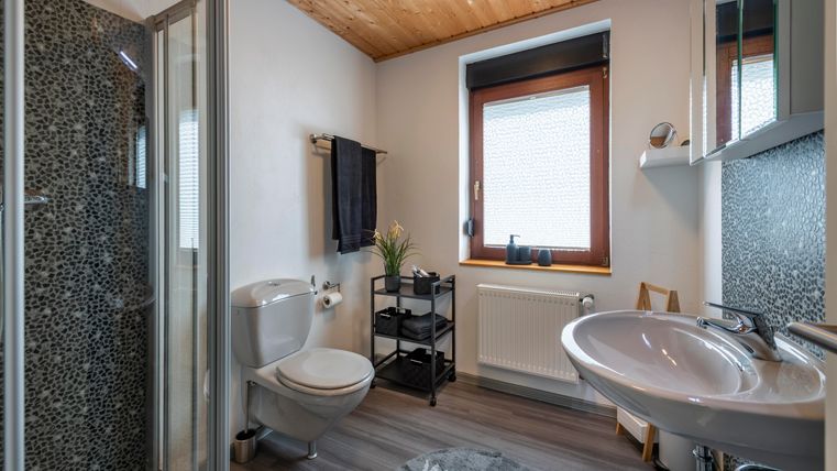 A modern bathroom with a shower, toilet, and sink. The wooden ceiling and the window create a bright, welcoming atmosphere.