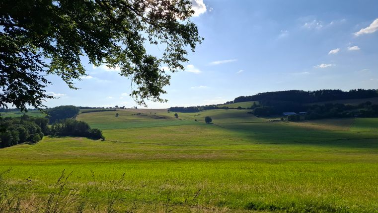 A view from the forest into the valley is beautiful