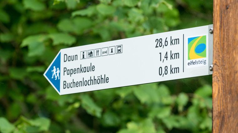 Wegweiser zeigt Entfernungen zu Daun (28,6 km), Papenkaule (1,4 km) und Buchenlochhöhle (0,8 km) im Eifelsteig. Hintergrund aus grünen Blättern.