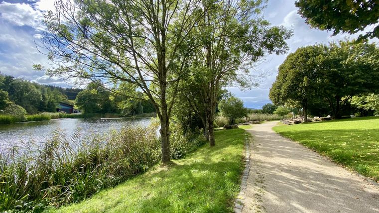 Wandelpad tussen weilanden en bomen en naast een meer onder een blauwe lucht.