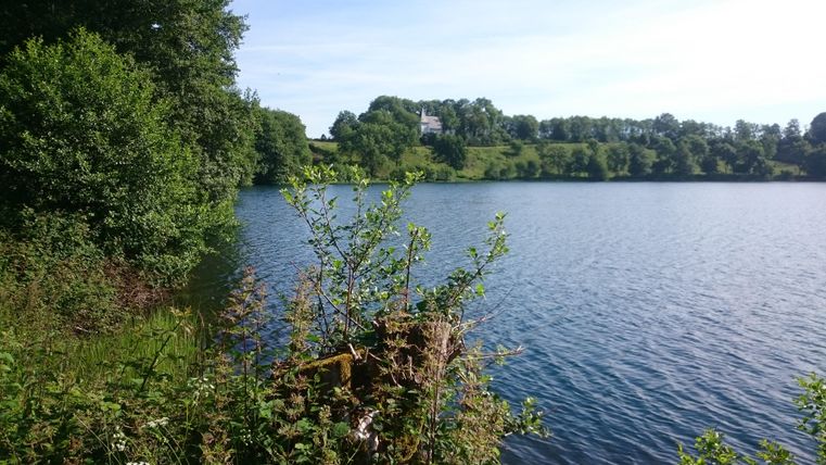 A tranquil lake surrounded by trees and lush greenery. In the background, a small house can be seen on a hill.