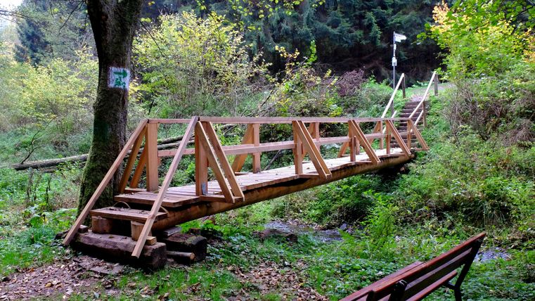A wooden bridge leads over a small creek in a green setting. In the background, trees and a staircase are visible.