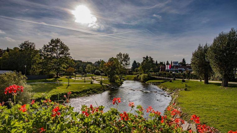 Ein malerischer Fluss, umgeben von grünen Wiesen und Bäumen. Im Vordergrund blühen rote Blumen unter einem klaren Himmel.