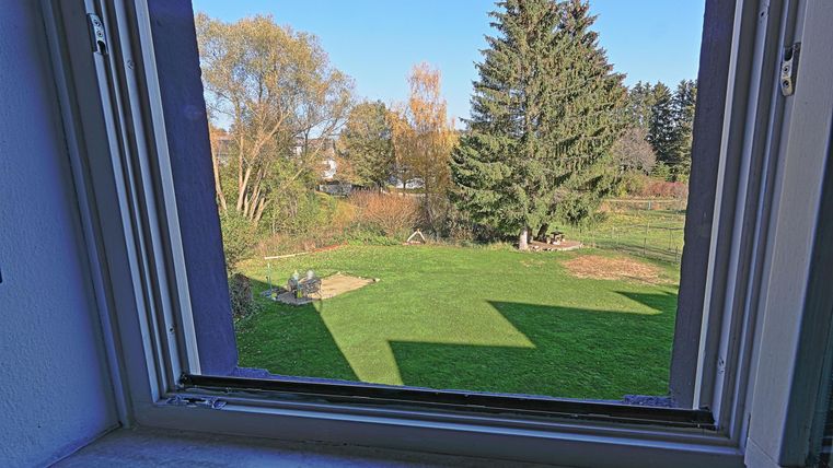 Ein Blick aus einem Fenster auf einen grünen Garten mit einem großen Baum. Der Himmel ist klar und blau.
