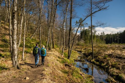 Two hikers are walking along a path through a forest with trees and a small stream. The sun is shining and the sky is clear.