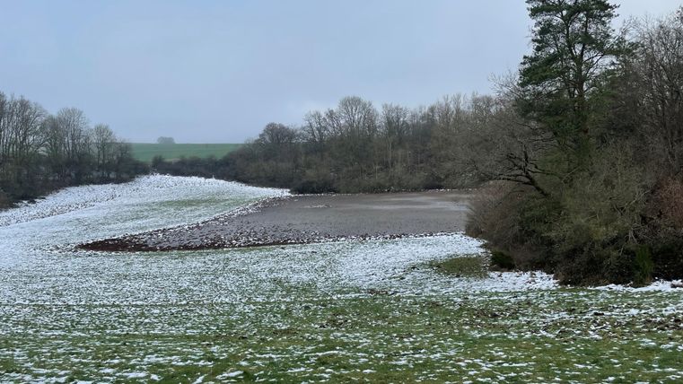 Eine kalte Landschaft mit Resten von Schnee und einem gefrorenen Teich. Im Hintergrund sind kahle Bäume und grünes Gras zu sehen.